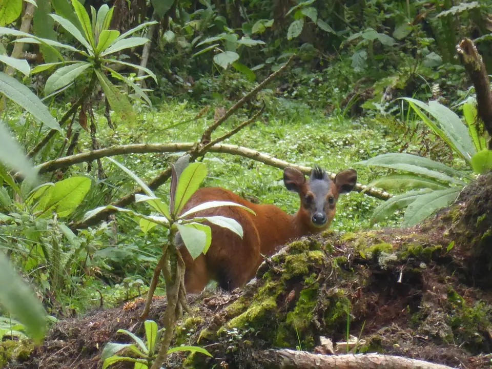 UgaRwa_2017_0568.JPG
