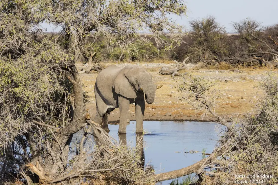 hd9fdaea.jpg
