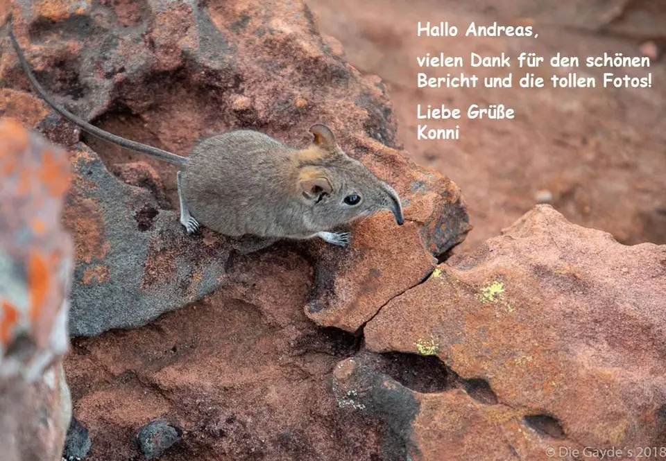 Andreas-2.jpg