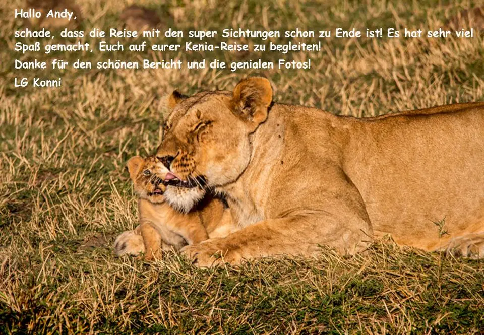 Bebbl-2.jpg