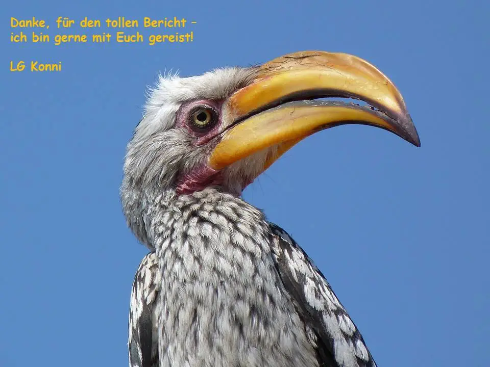 Danke1-2.jpg