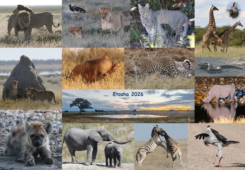 Etosha26.jpg