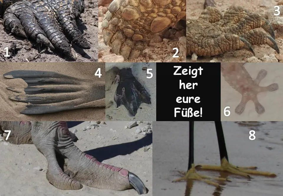 Folie2-2.JPG