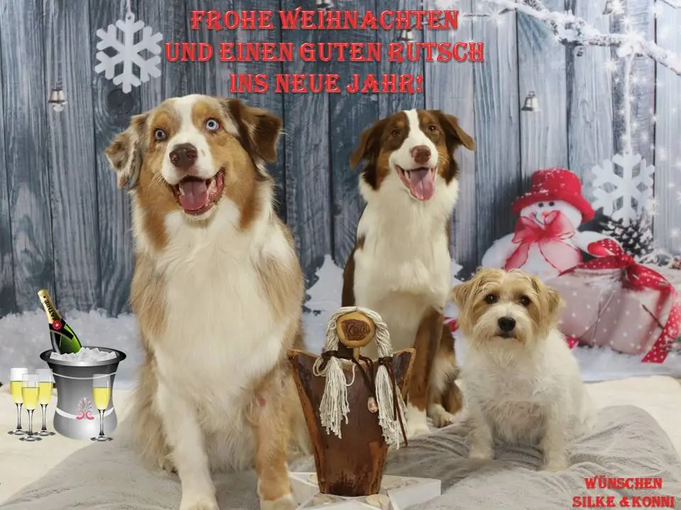 Folie3.JPG