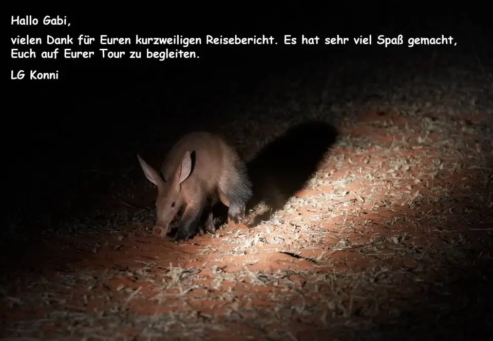 Gabi_Muc-2.jpg
