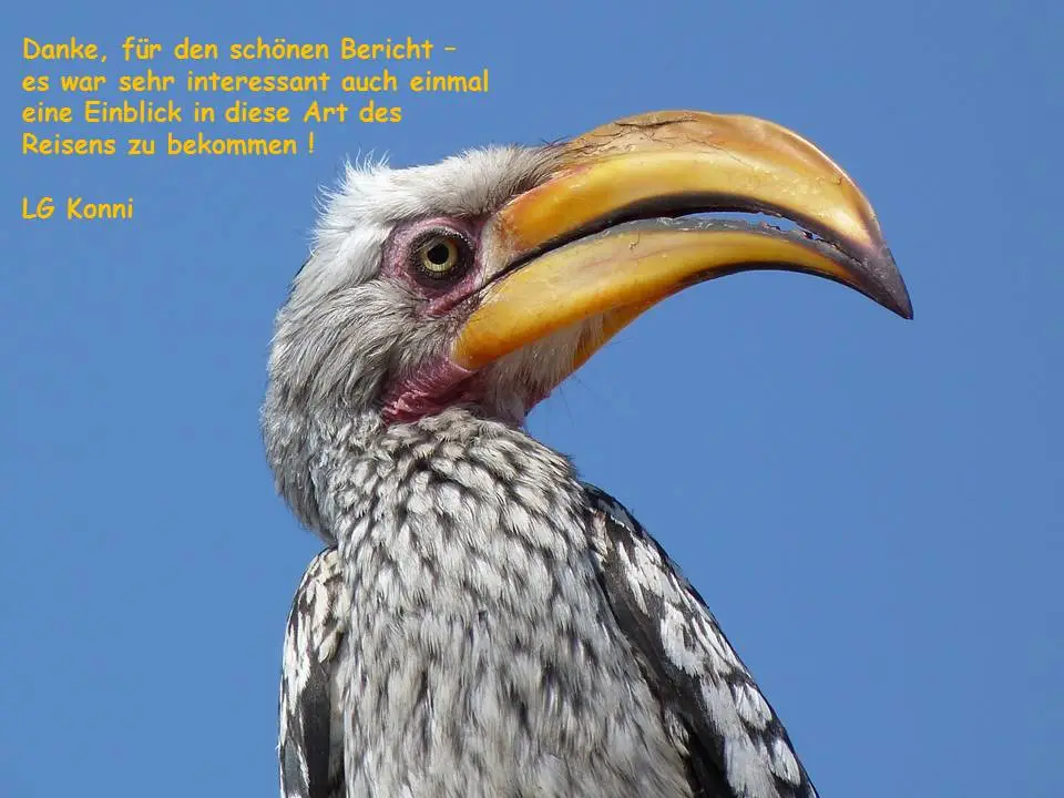 Grosi.jpg