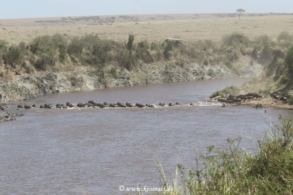 K21_9195.JPG