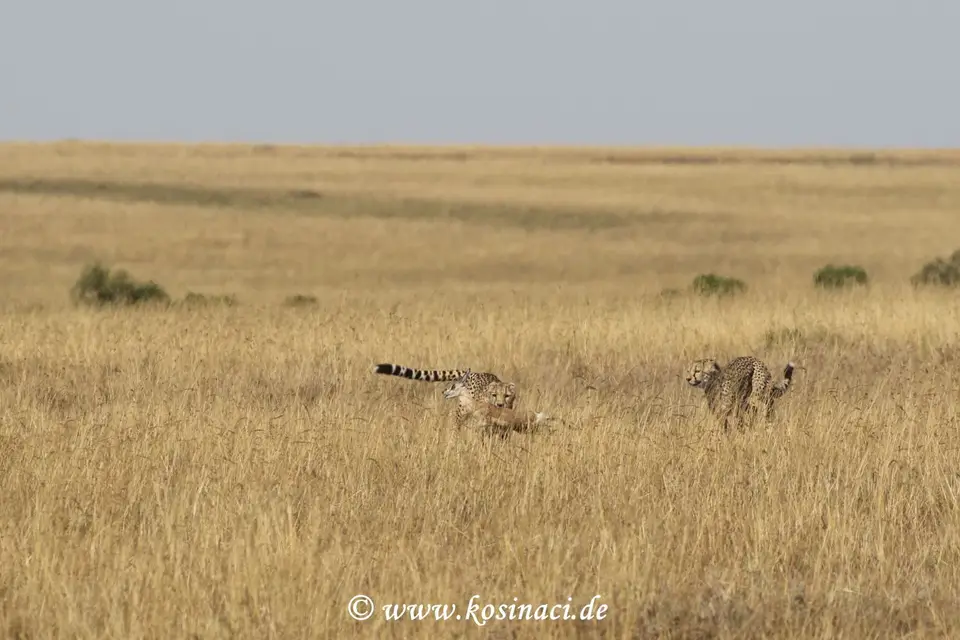 K22_4367.JPG