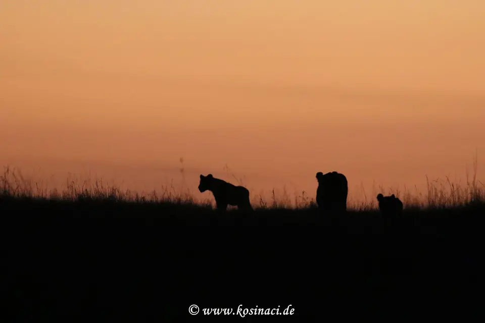 K22_4777.JPG