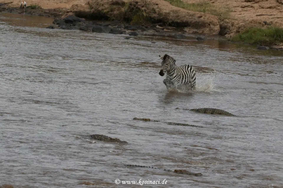 K22_5849.JPG
