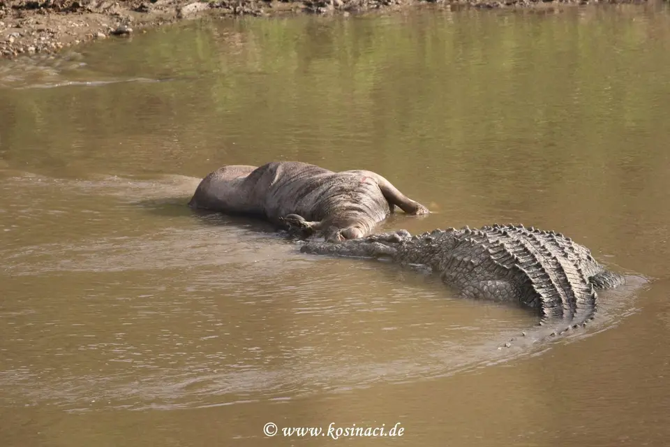 K22_6344.JPG
