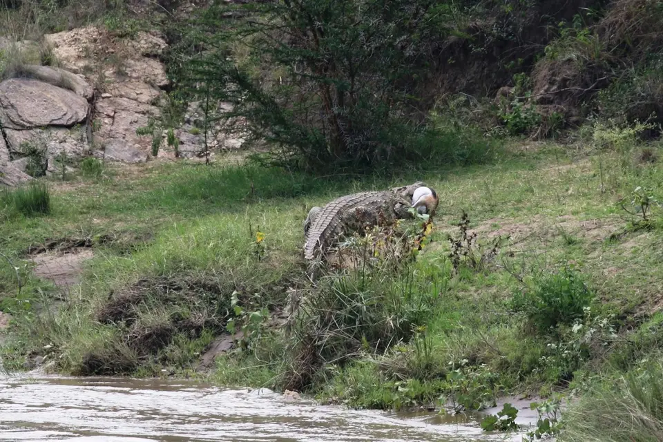 K23_0466.JPG