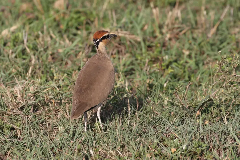 K23_2141.JPG