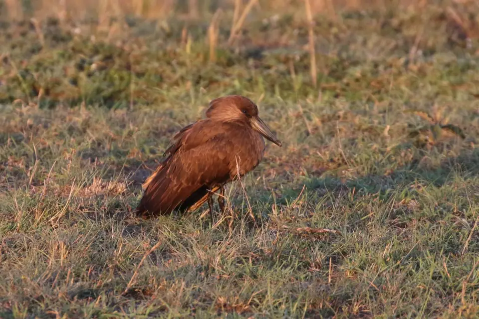 K23_2344.JPG
