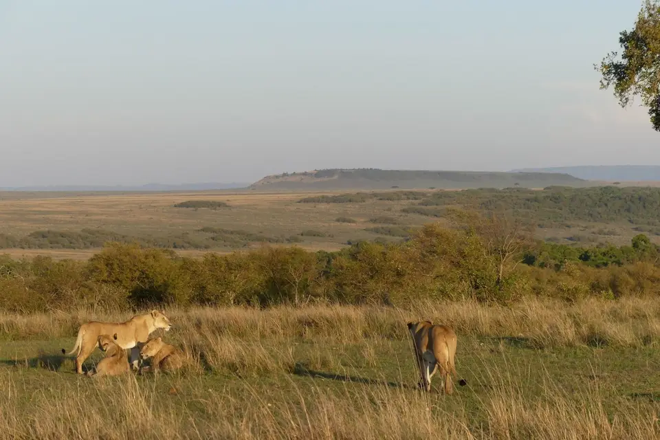 K23_2460.JPG