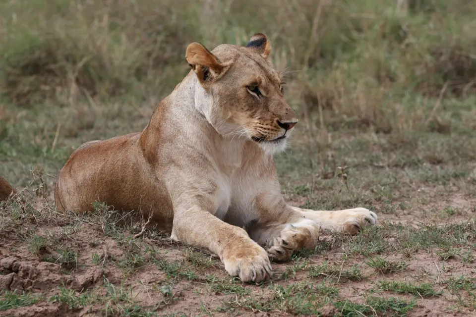 K23_5631.JPG