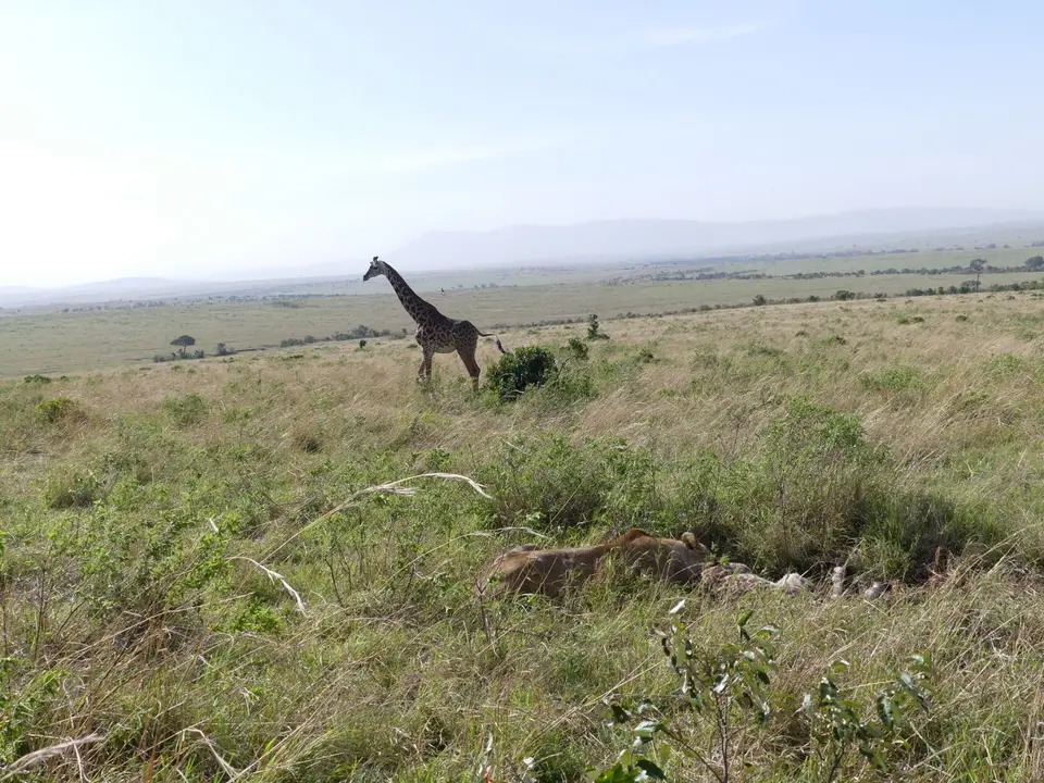 K23_6345.JPG