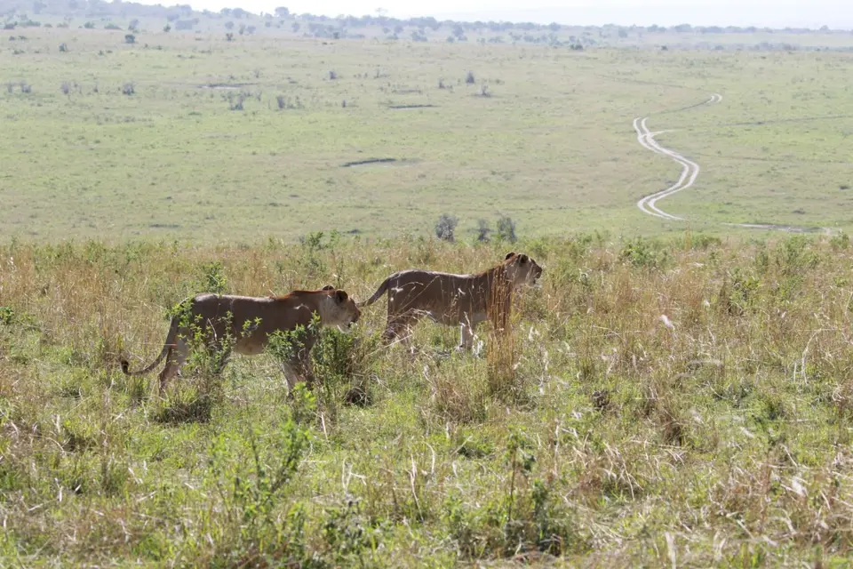 K23_6366.JPG