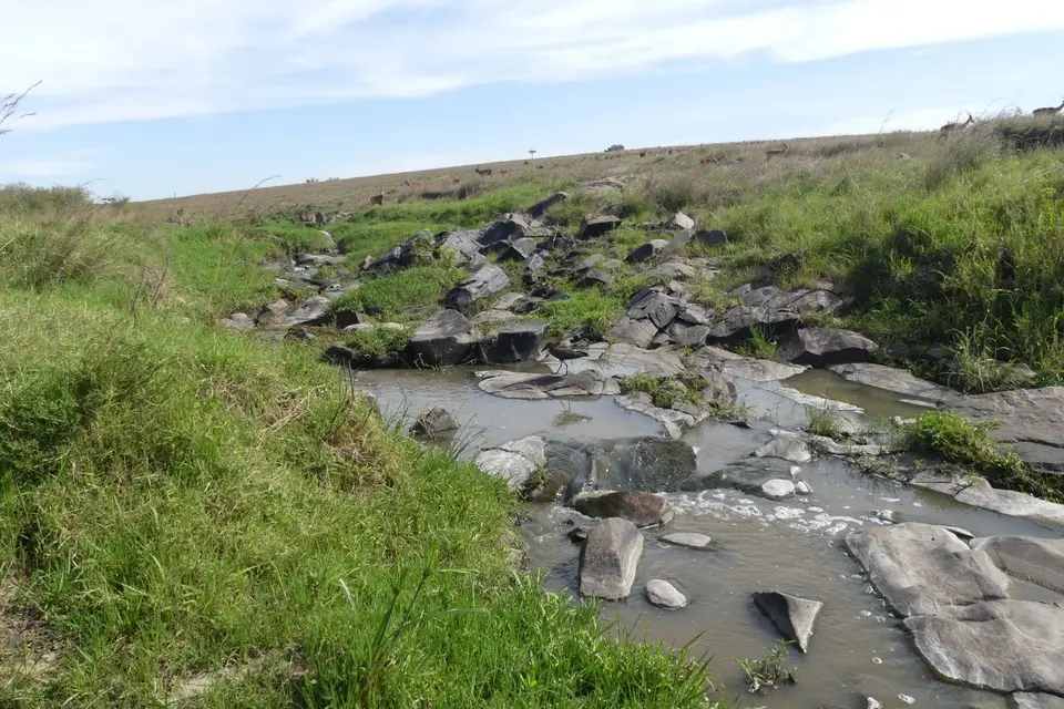 K23_6713.JPG