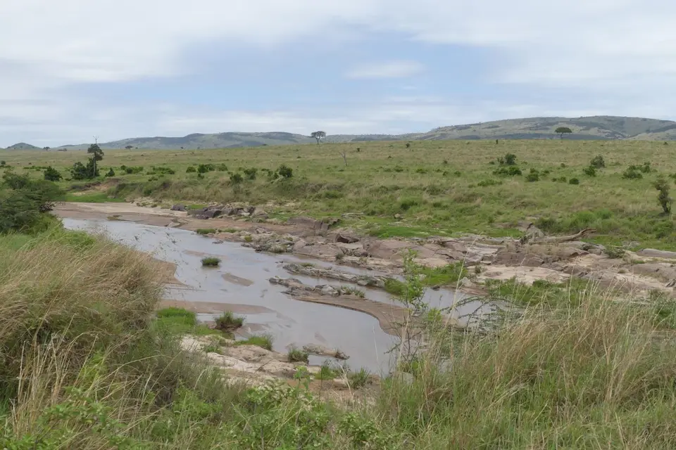 K23_7509.JPG