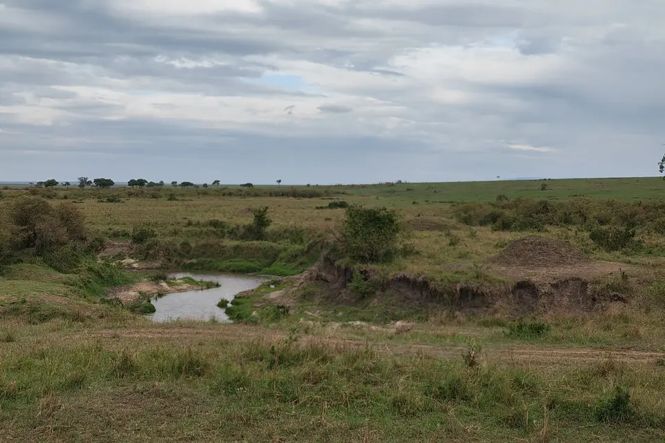 K23_7578.jpg