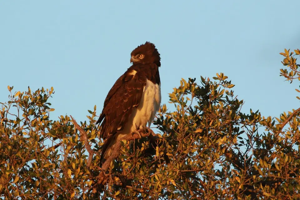 K23_7823.JPG
