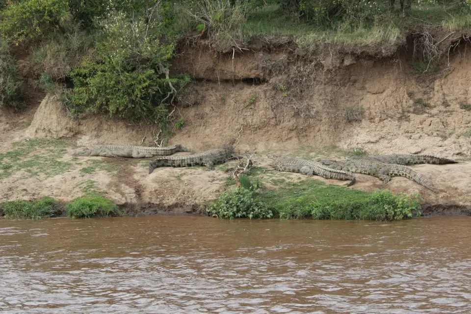 K23_7944.JPG