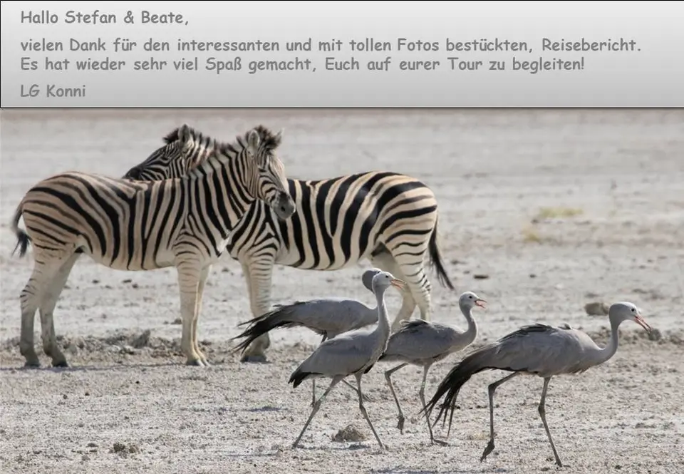 Löffels.jpg