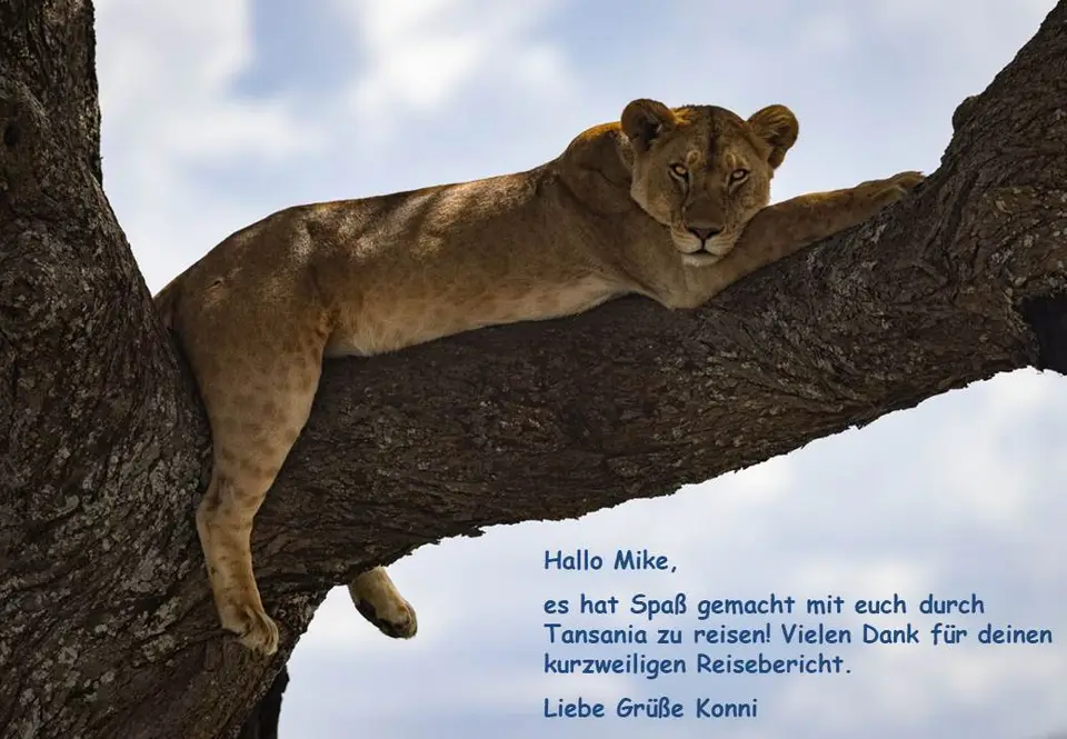 Mike.jpg
