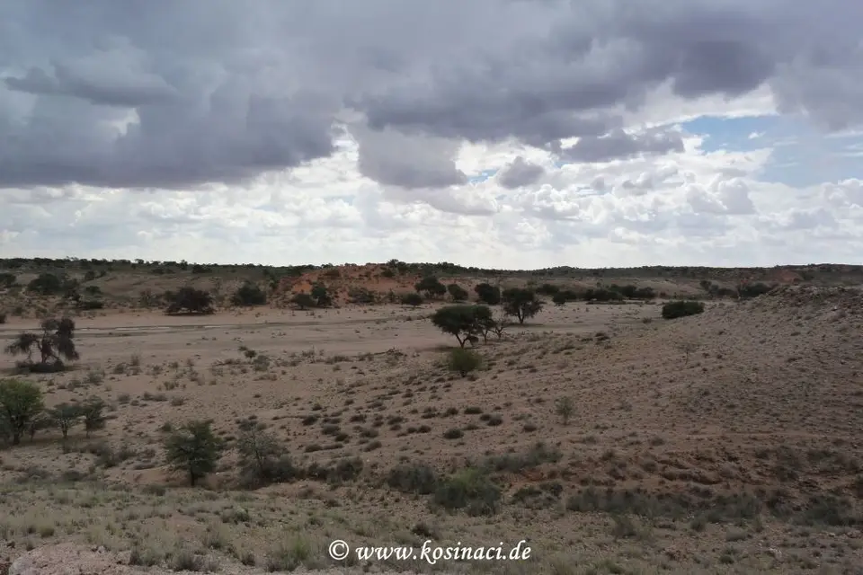 Na15a_0518.JPG