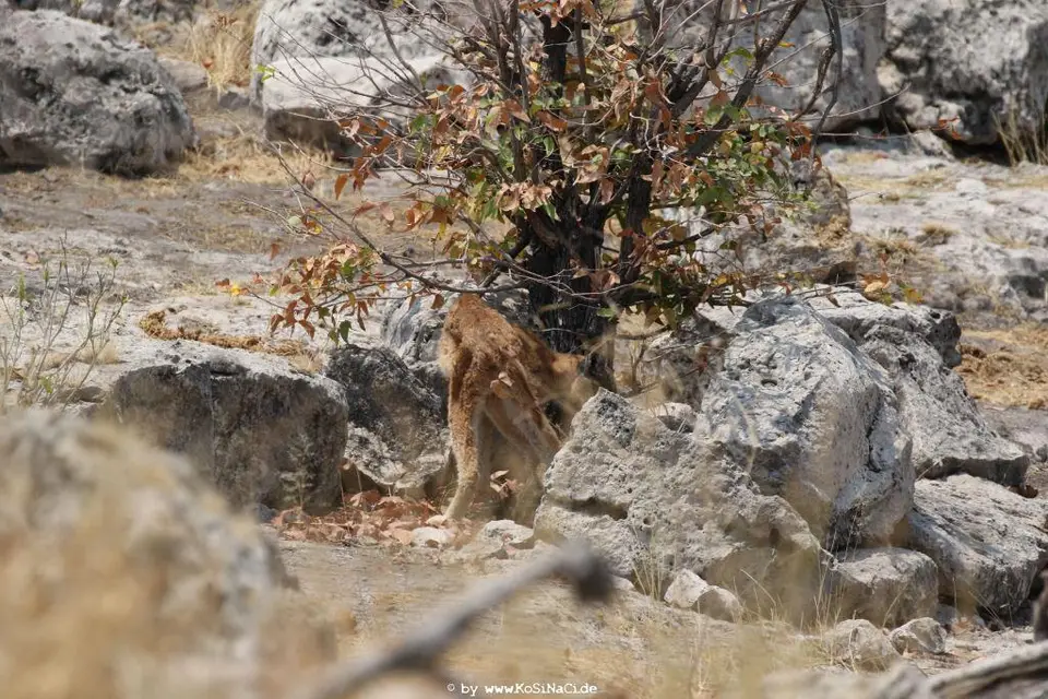 Na16_10248.JPG
