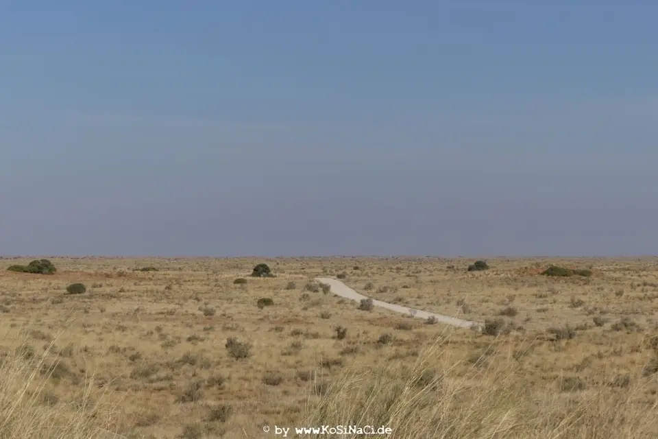 Na16_1099.JPG