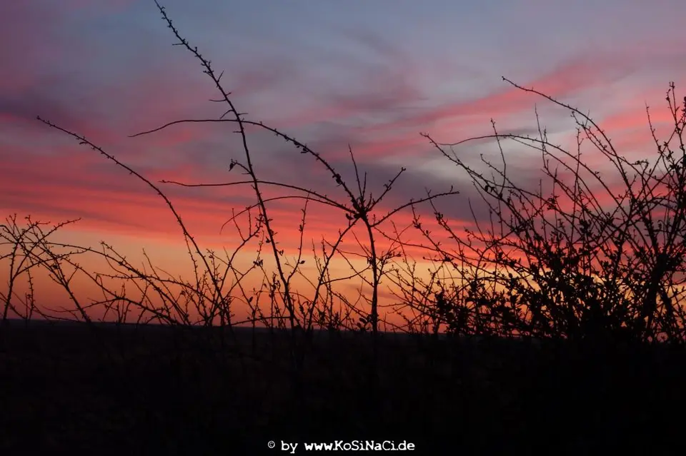 Na16_1167.JPG