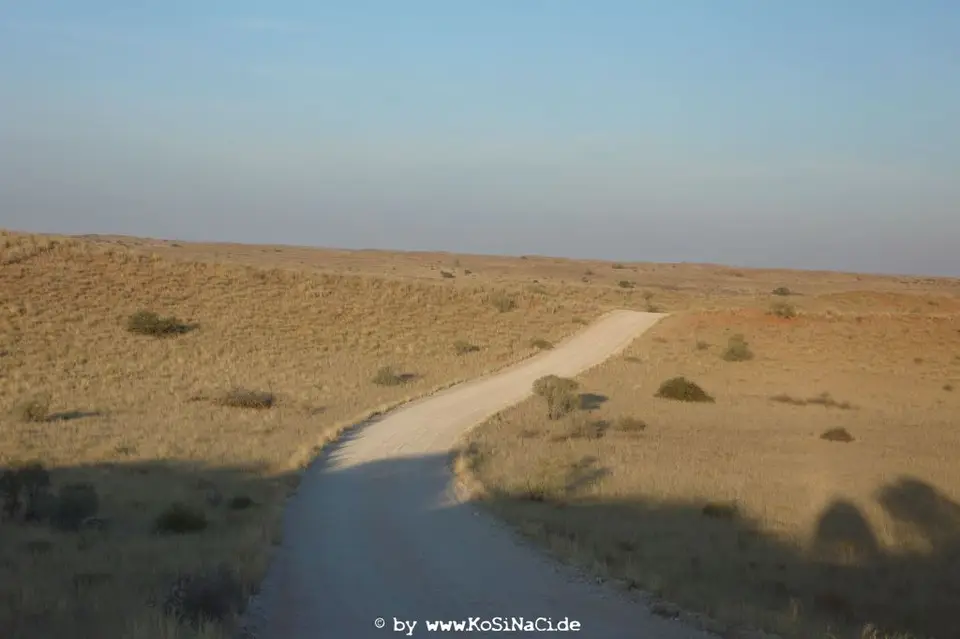 Na16_1200.JPG