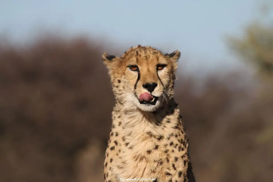 Na16_12299.JPG
