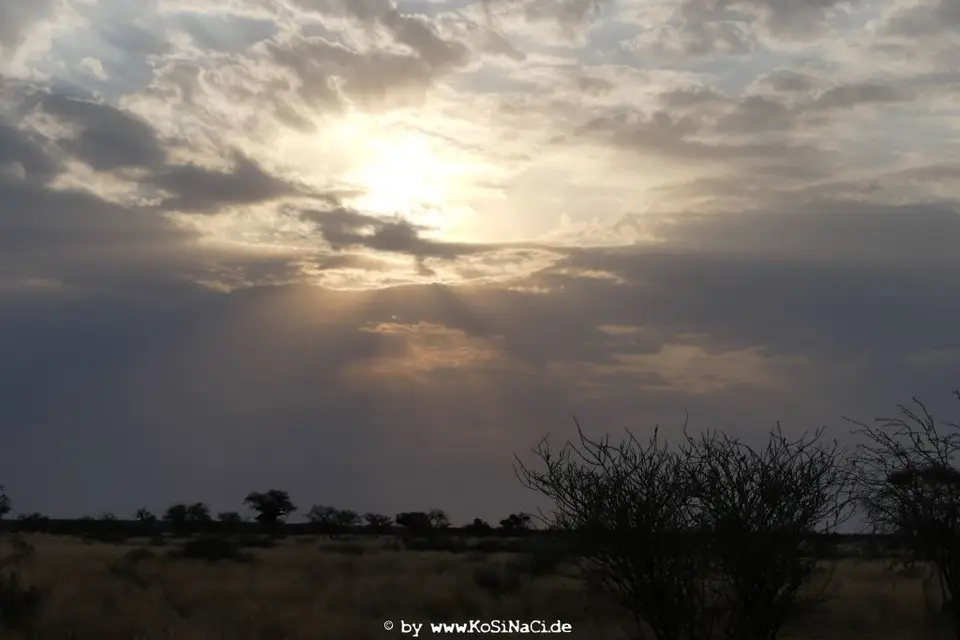 Na16_5438.JPG