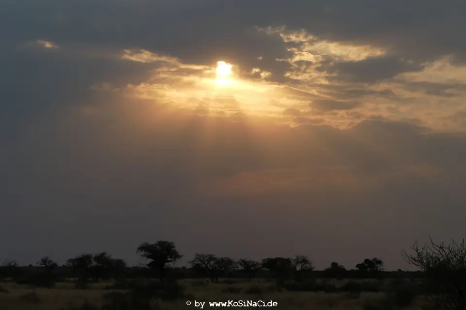 Na16_5441.JPG