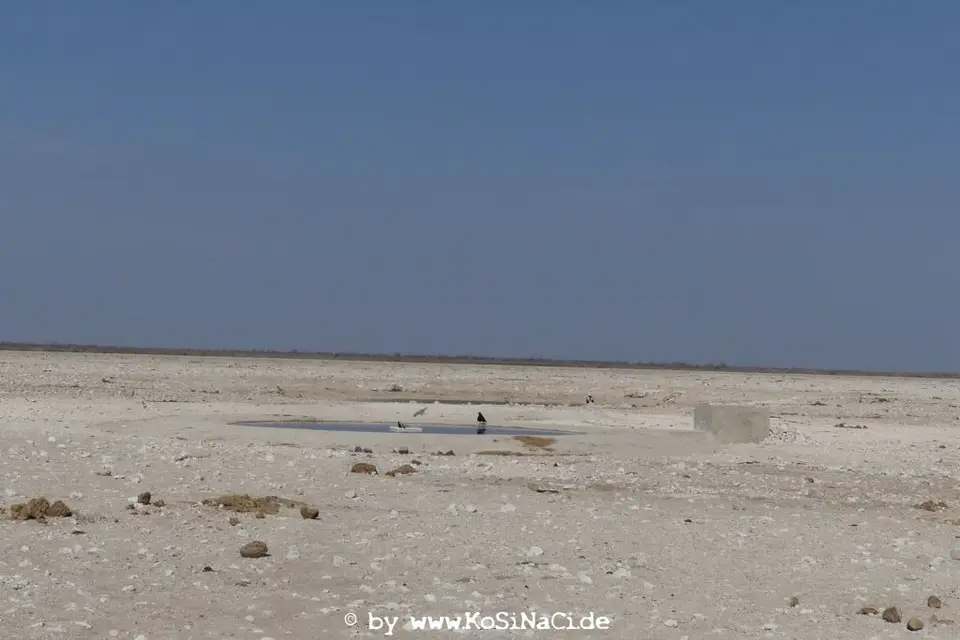 Na16_8066.JPG