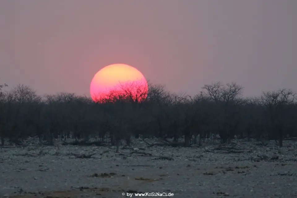 Na16_9352.JPG