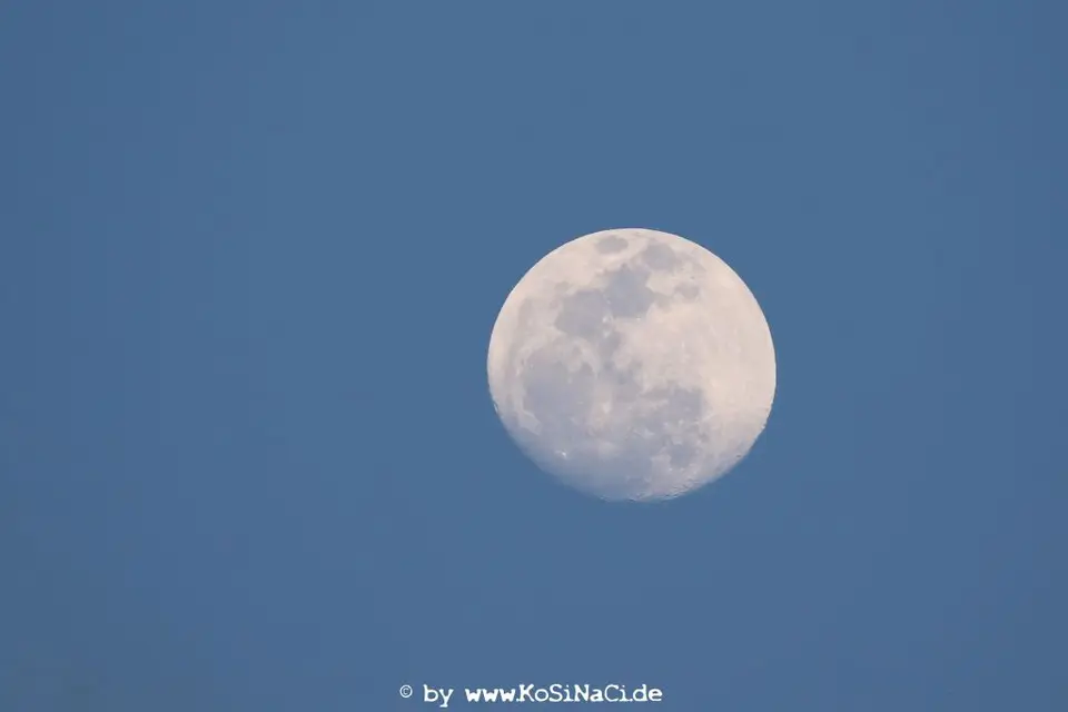 Na17_11254.JPG