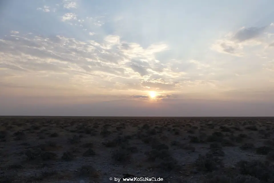 Na17_7671.JPG