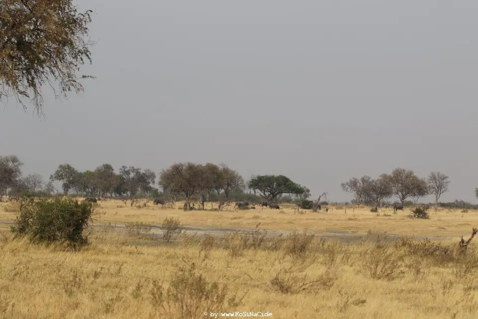 Na18_10993.JPG