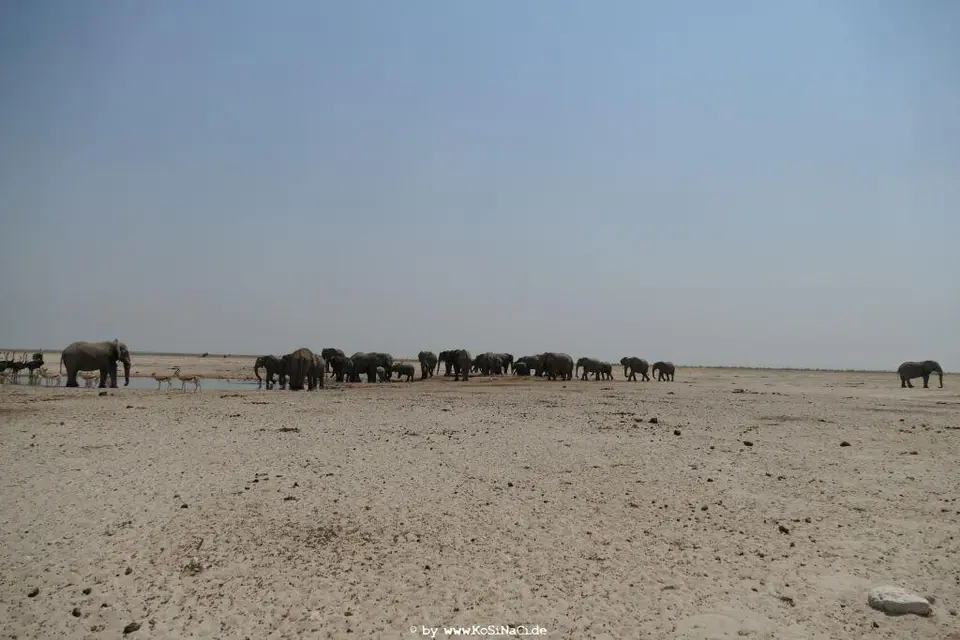 Na18_1782.JPG
