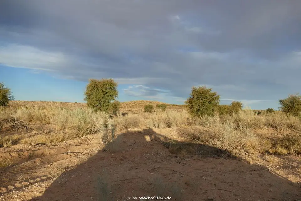 Na19_1173.JPG
