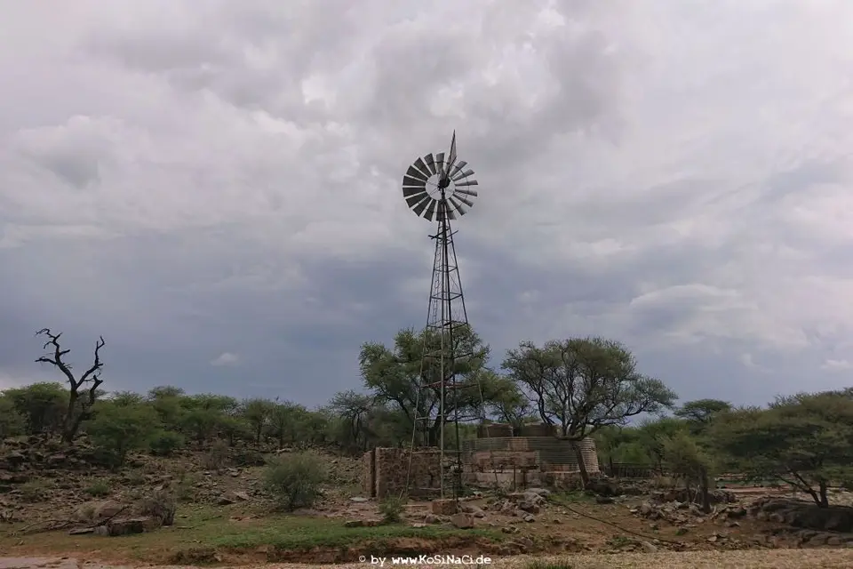 Na19_23375.JPG