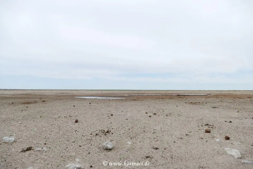 Na21_10121.JPG