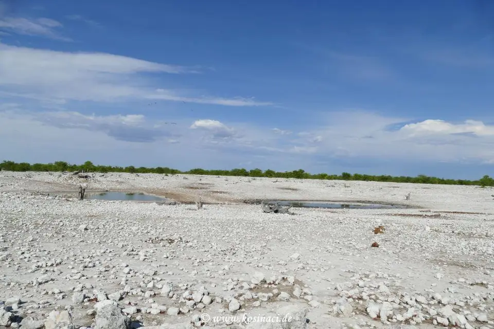 Na21_10473.JPG