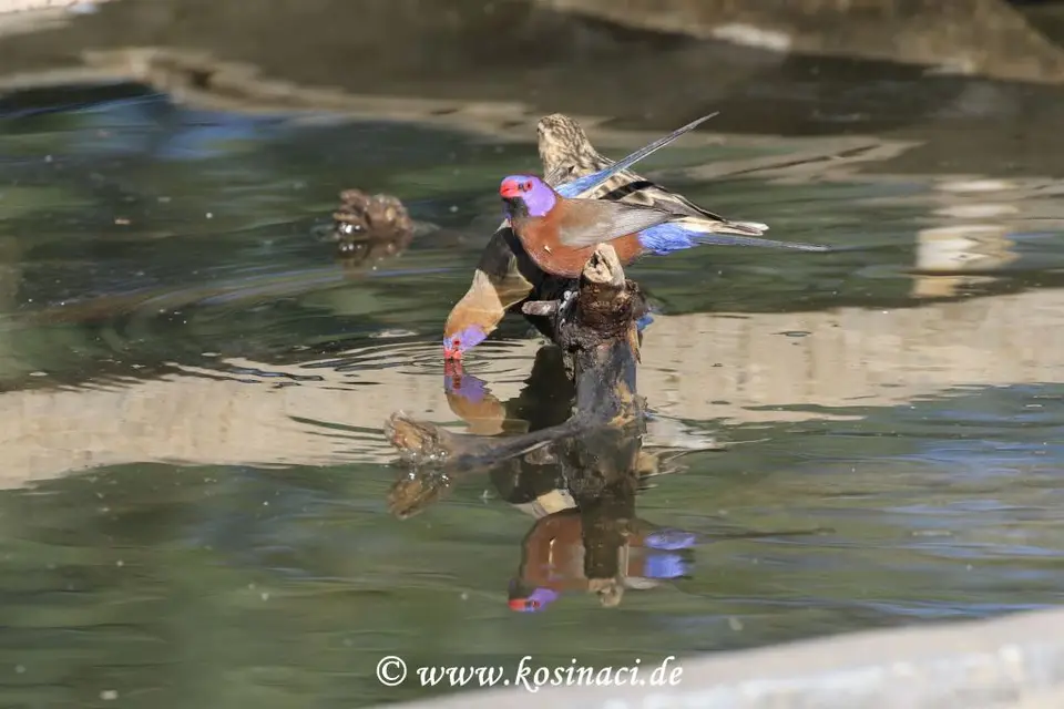 Na21_1348.JPG
