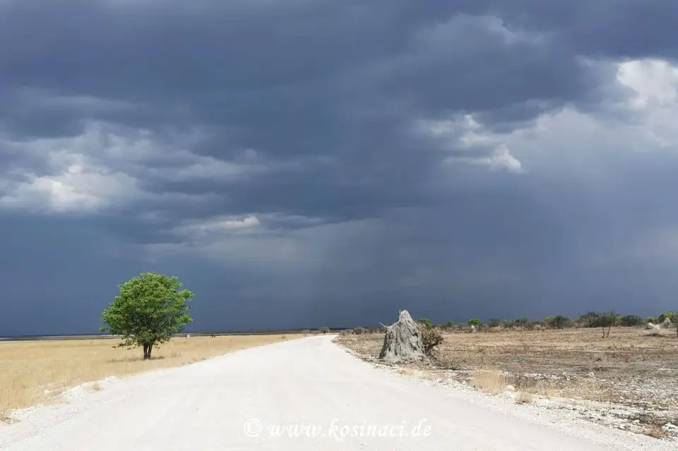 Na21_5712.jpg