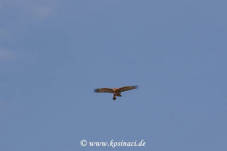 Na21_7502.JPG